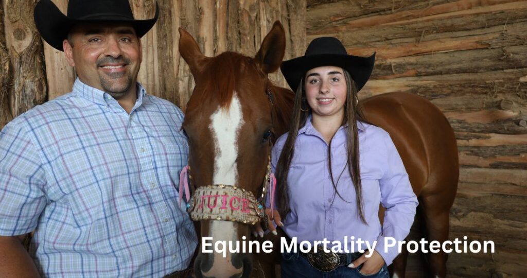 Equine Mortality Protection